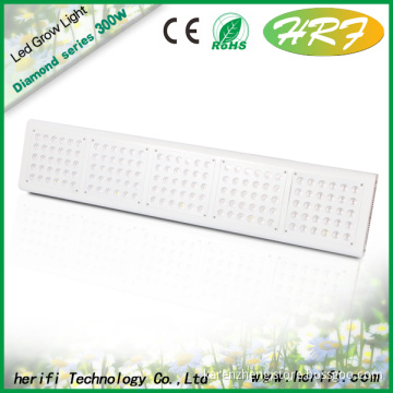 Greenhouse indoor grow led lights